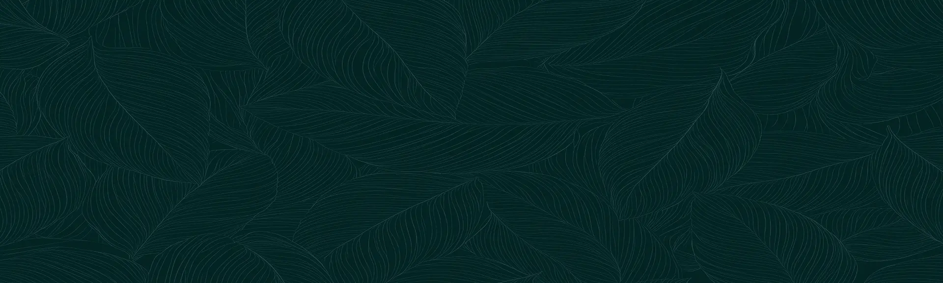 footer_bg