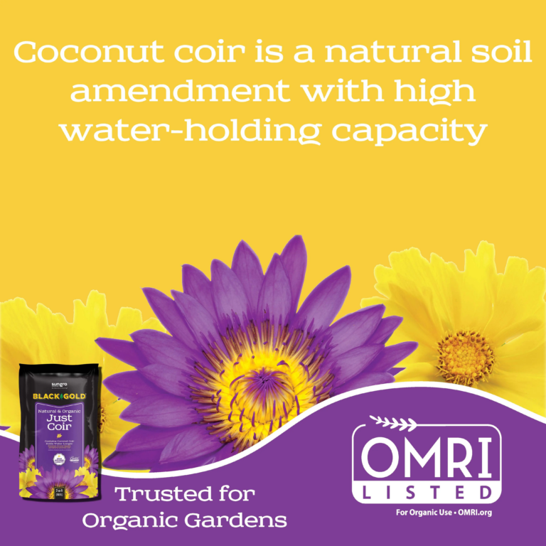Black Gold Just Coir package featuring purple water lily and yellow blooms on yellow background, OMRI listed
