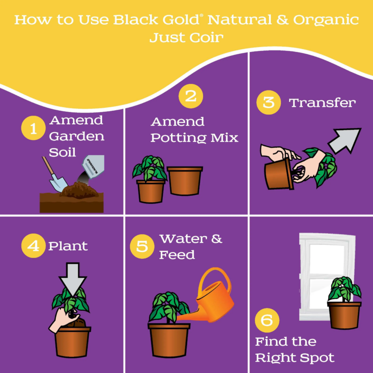 Black Gold Just Coir infographic showing numbered steps to amend garden soil, amend potting mix, transfer plants and water