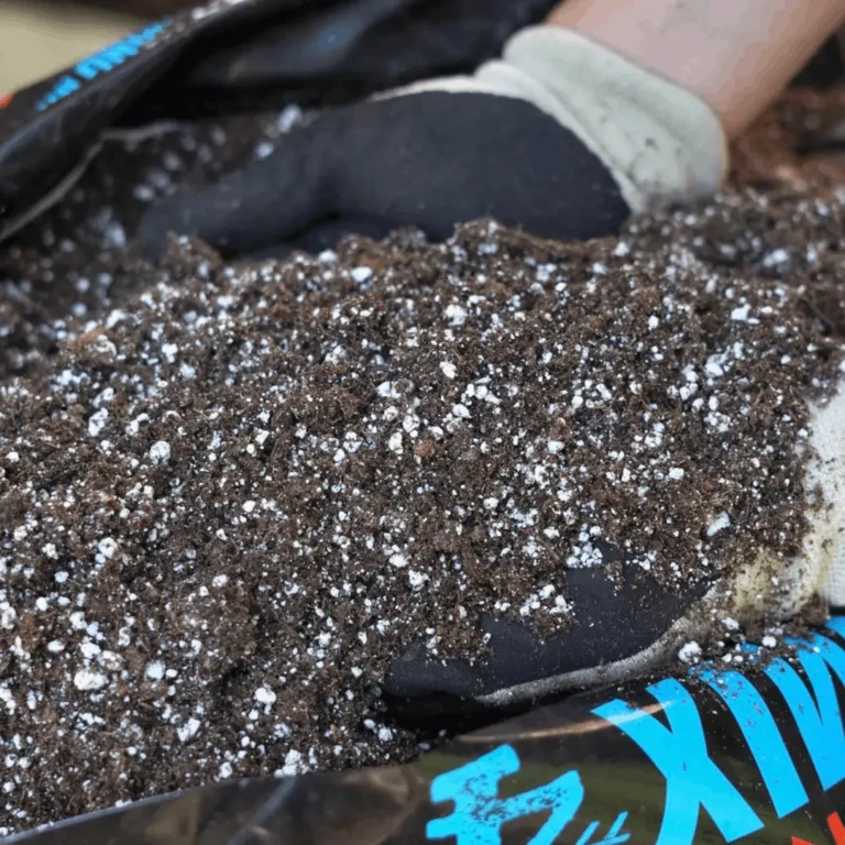 Close-up of Lowe's Lifestyle Sunshine Mix #4 Myco potting mix with perlite and gloved hand holding airy soil