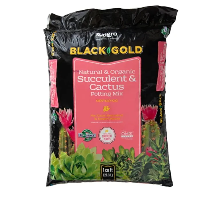 Black Gold Natural & Organic Succulent & Cactus potting mix 1 cu ft bag with pink center label and succulents