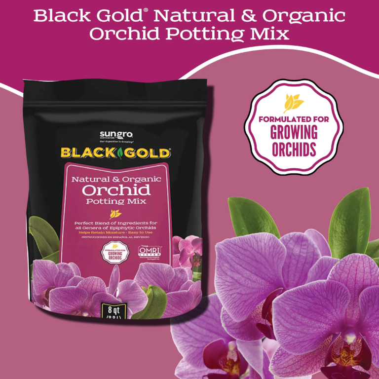 orchid_Page_1