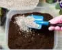 Hand with pink scoop adding white perlite to dark potting soil in a black seed tray for seed starting