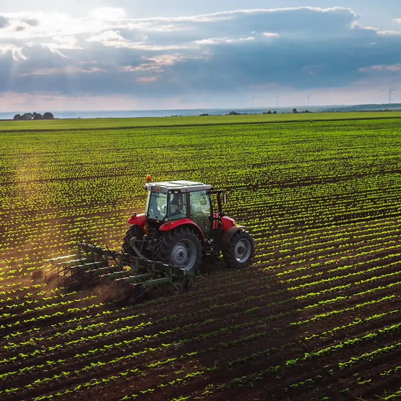 Red tractor tilling wide green soybean field at sunset with long shadows under dramatic cloudy sky, aerial farm scene