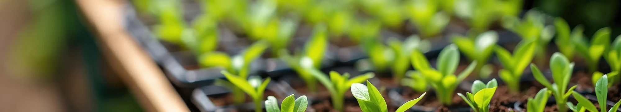 professional growing products - hero