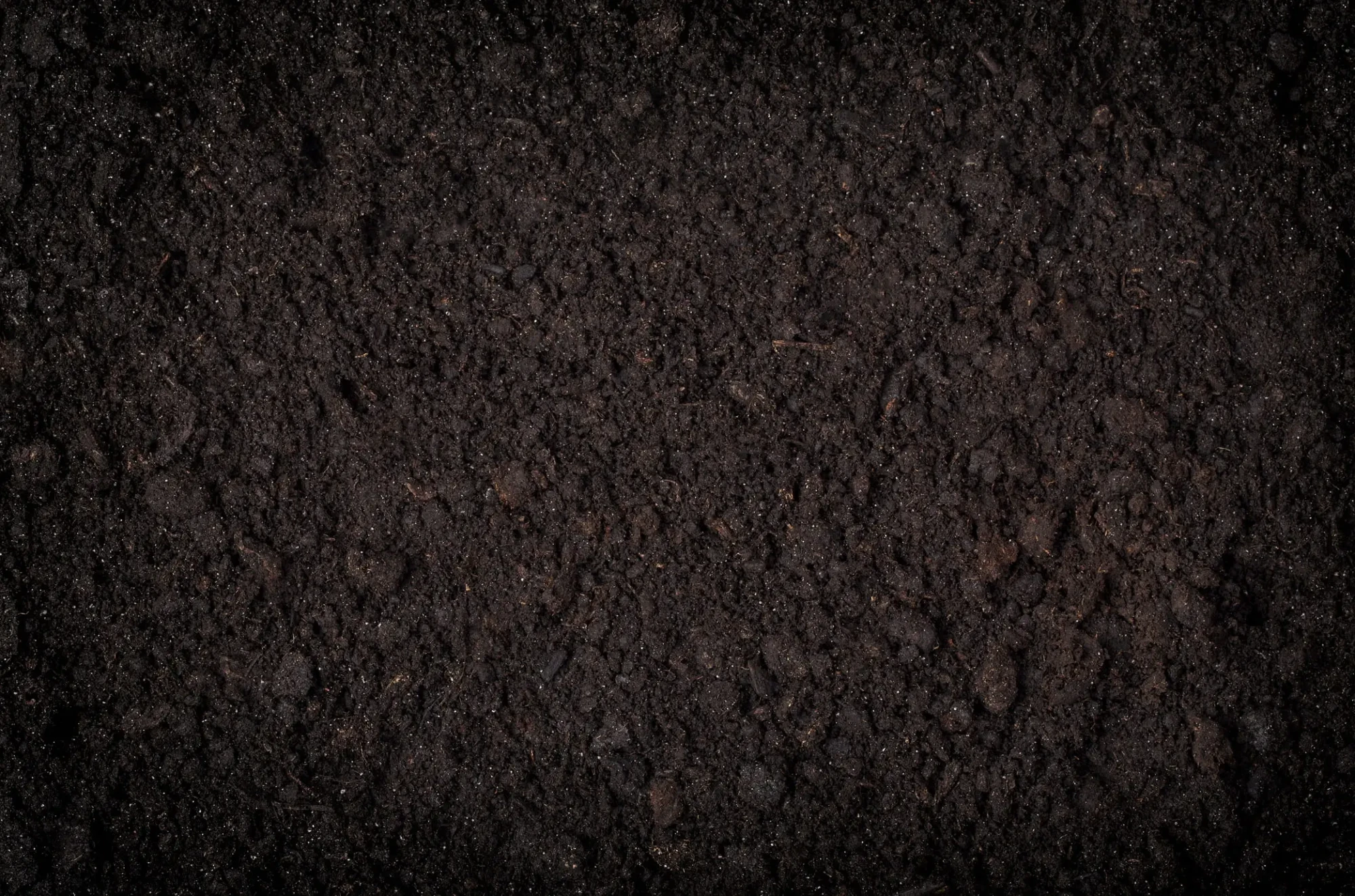 Dark, rich organic potting soil texture for gardening and container planting background, moist composted soil close-up