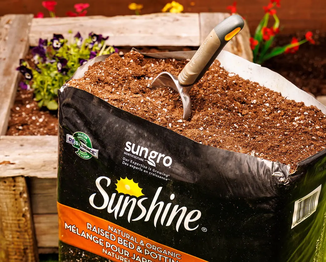 Sungro Sunshine organic potting mix bag with shovel in front of flowering garden beds.