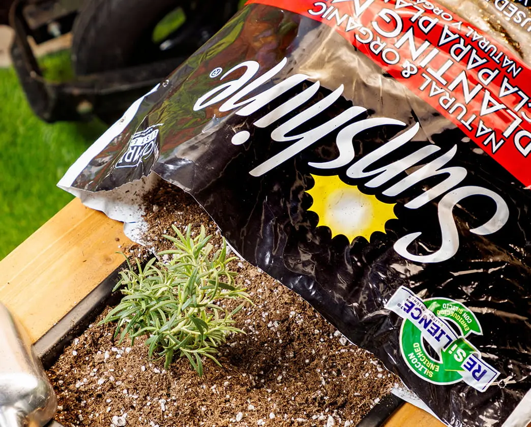 Sungro potting mix bag pouring soil onto a garden bed with green grass visible.