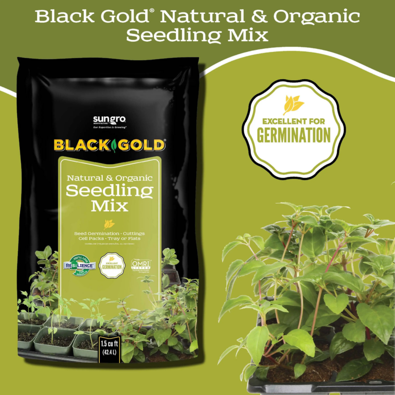 Seedling_Page_3