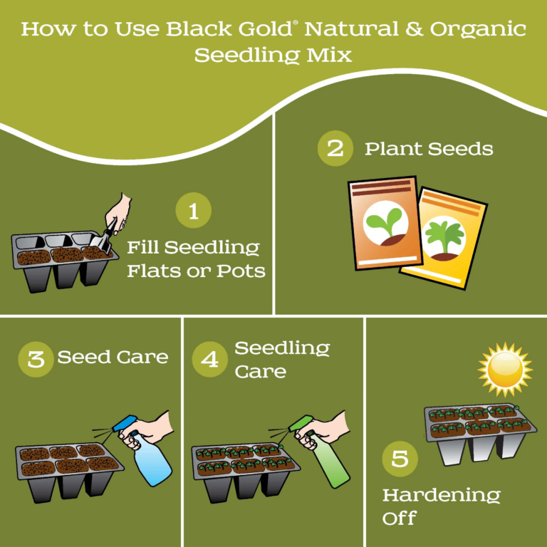 Seedling_Page_5