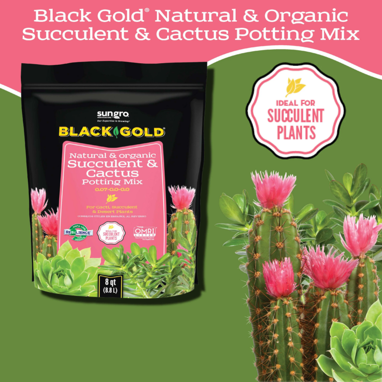 Black Gold Natural & Organic Succulent & Cactus Potting Mix bag with succulents and pink cactus blooms on green backdrop