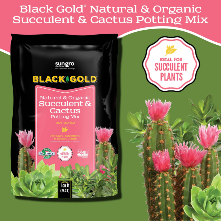 Black Gold Natural & Organic Succulent & Cactus Potting Mix bag with pink label, cacti and succulents on green backdrop