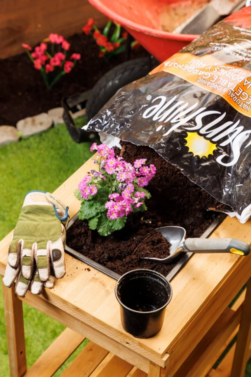 Potting bench with SunGro soil bag spilling compost, gardening gloves, trowel and pink primrose ready for planting in tray