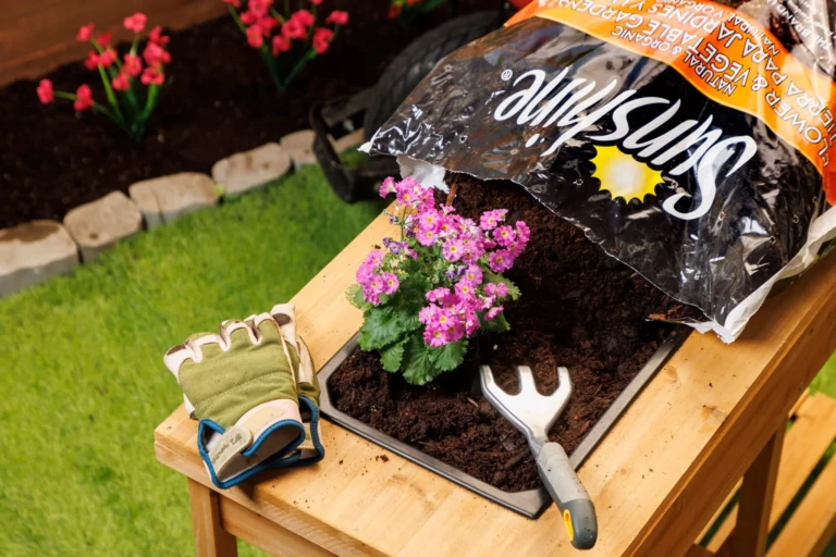 SunGro potting mix bag spilling into a planter beside gloves, trowel and pink primula on a wooden bench
