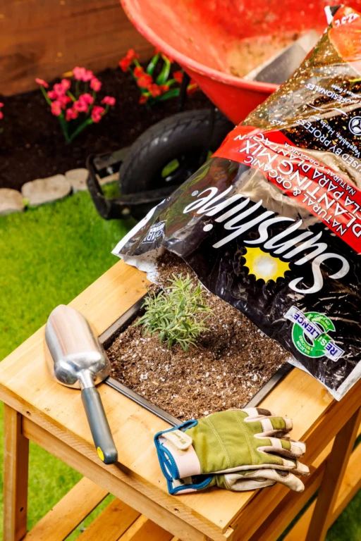 Raised wooden potting bench with a Sunshine potting mix bag, trowel, gloves and a small lavender transplant ready to plant
