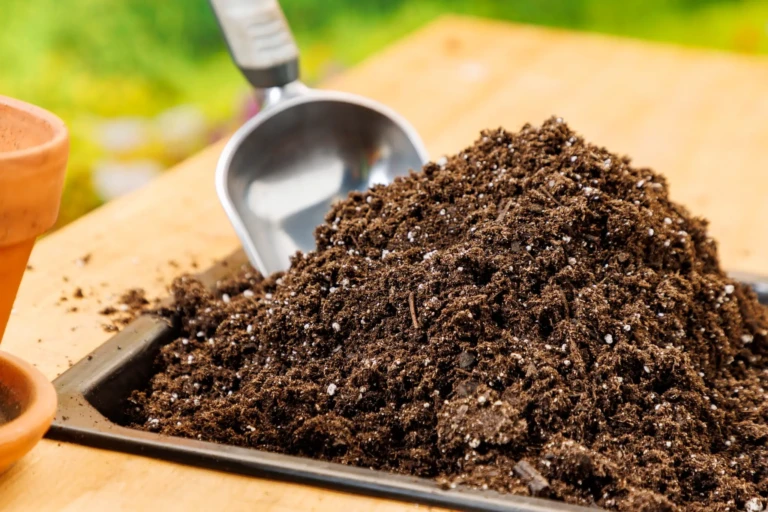 Tray of dark potting mix with perlite and a metal garden scoop next to terracotta pots on a wooden table
