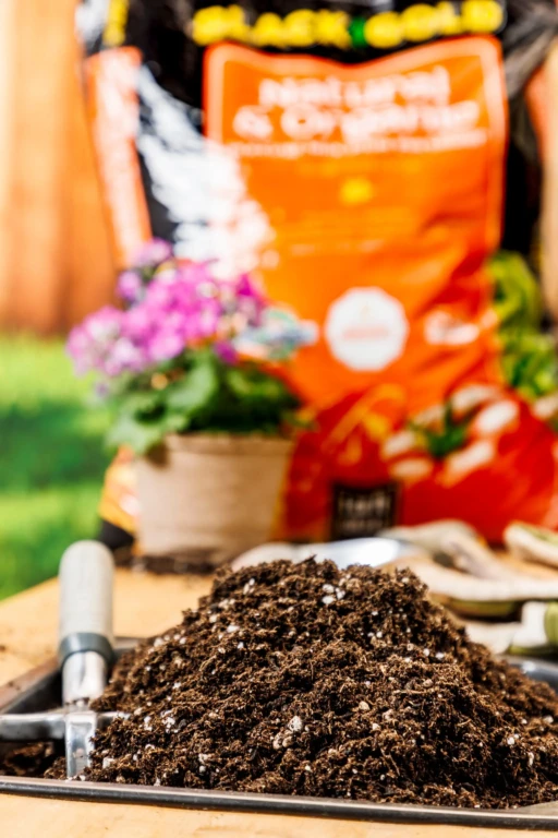 Close-up of potting soil with perlite on a tray, blurred SunGro orange bag and potted flowers in background