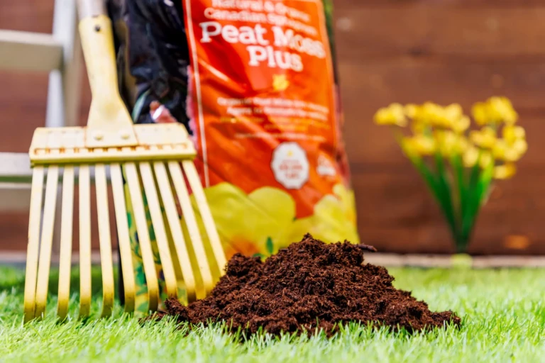 Heap of dark peat moss on turf with yellow garden rake and SunGro Peat Moss Plus bag blurred in background