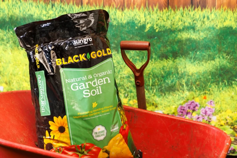 Bag of Black Gold Natural & Organic Garden Soil in a red wheelbarrow next to a brown-handled shovel against a grassy backdrop
