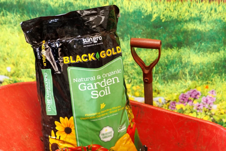 Bag of SunGro Black Gold natural & organic garden soil in a red wheelbarrow next to a shovel handle in a garden scene