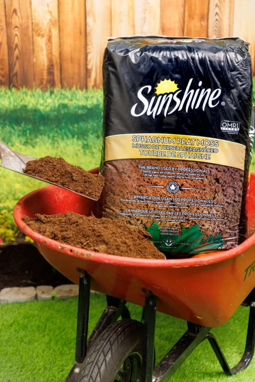 SunGro Lifestyle02275-min