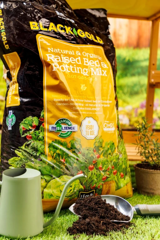 Black Gold Natural & Organic Raised Bed & Potting Mix bag beside soil scoop and pale green watering can