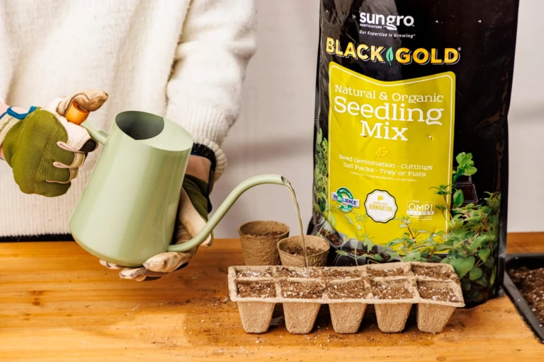 SunGro Lifestyle02375