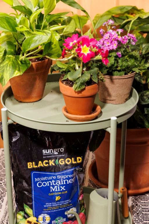 Potted indoor plants on a green metal plant stand with Black Gold container mix bag and pink primrose flowers