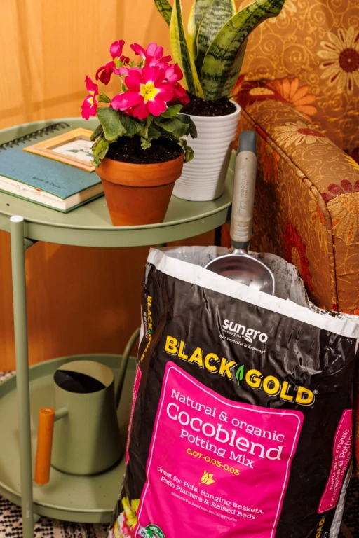 SunGro Black Gold coco blend potting mix bag next to terracotta pot with pink primrose and snake plant on a green table