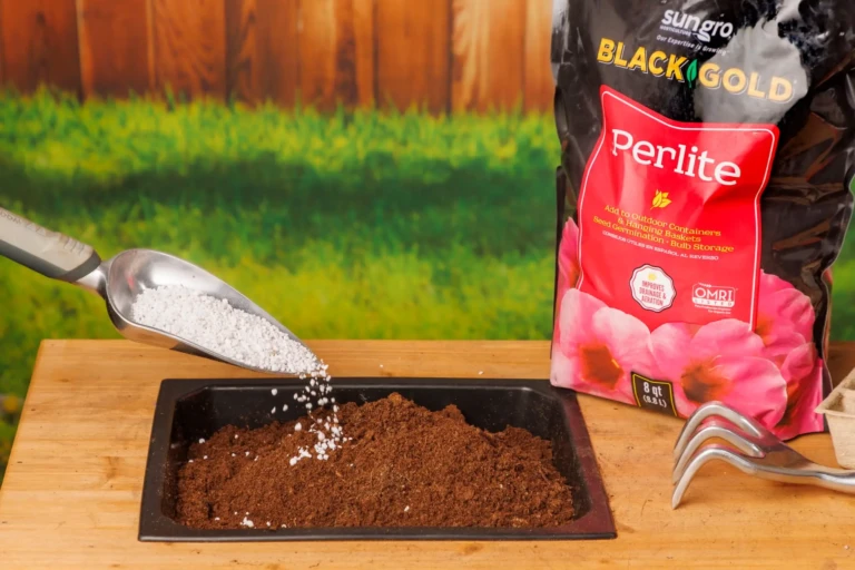 Black Gold Perlite bag and scoop adding white perlite to coconut coir potting mix in seed tray
