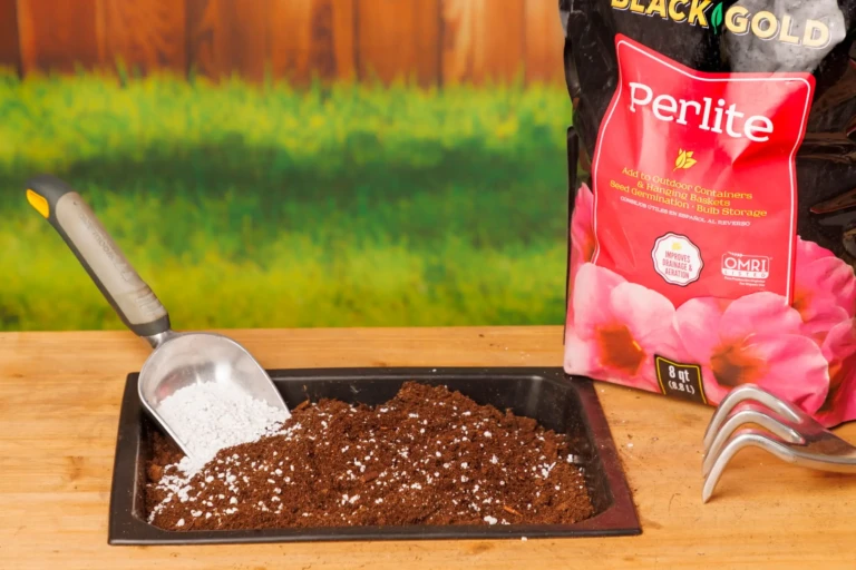 Bag of Black Gold Perlite next to tray of potting mix with metal scoop and gardening tools on wooden bench