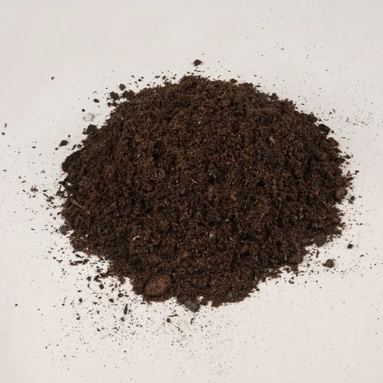 Heap of Sunshine Black Bear indoor and outdoor potting mix on white background, dark moisture-retentive texture for pots
