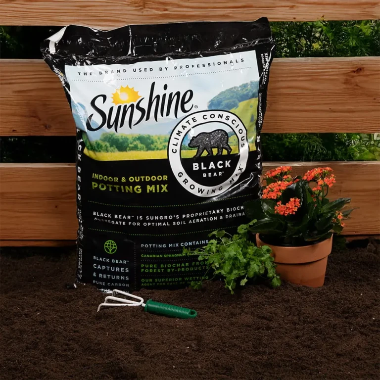 Sunshine Black Bear indoor & outdoor potting mix bag on soil beside potted orange kalanchoe and small garden tool