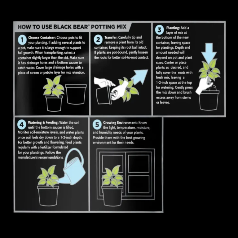 Sunshine Black Bear potting mix instruction graphic showing pot selection, plant transfer, planting depth, watering, and care
