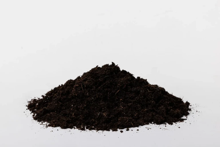 Sunshine Black Bear IO Potting Mix-min