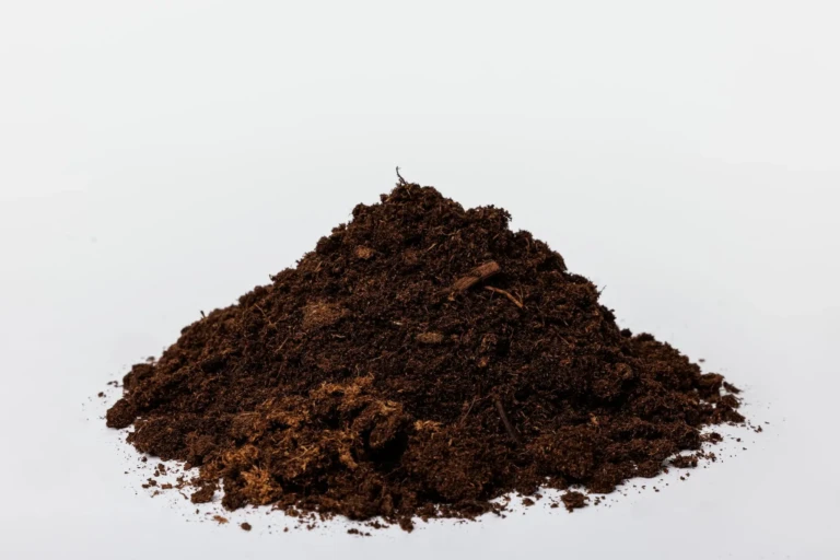 Sunshine Peat Moss