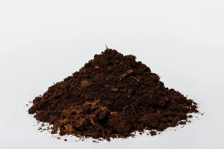 Sunshine Peat Moss (1)-min