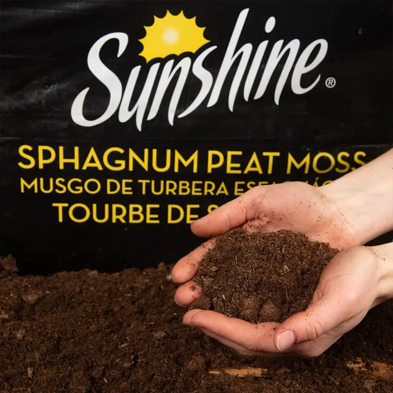 Sunshine Sphagnum Peat Moss hands-min