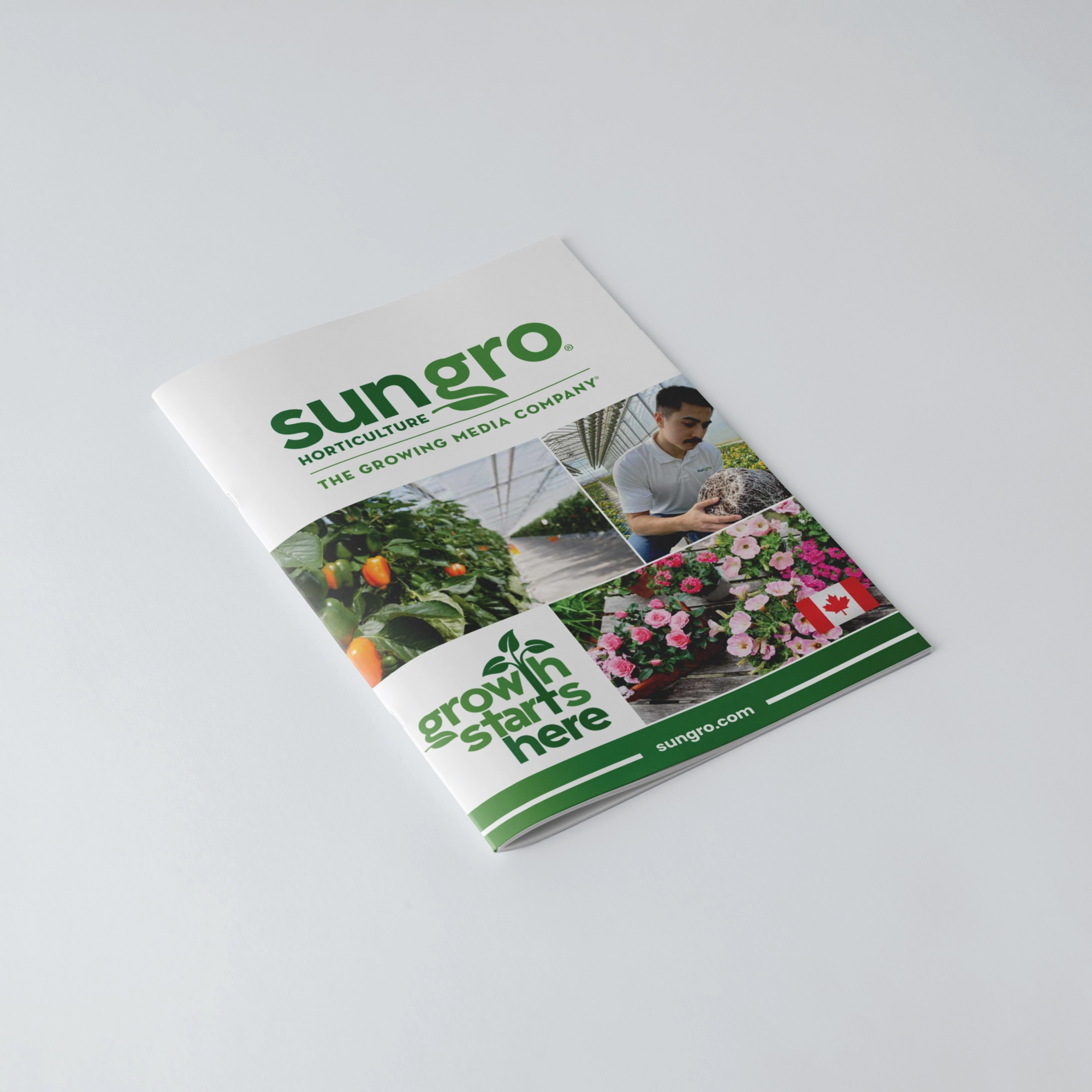 banner_catalog_ca_en (1)