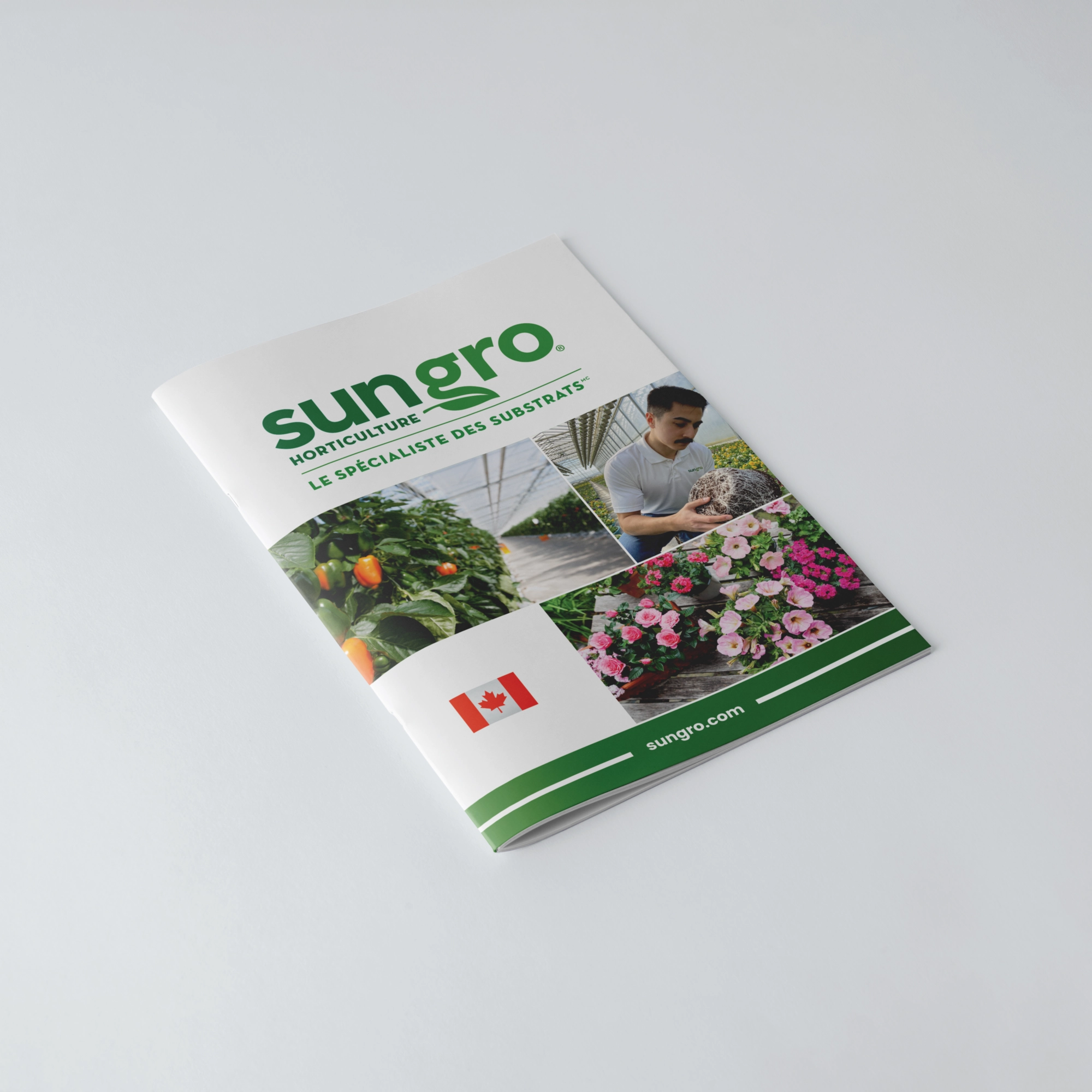 banner_catalog_ca_en (1)