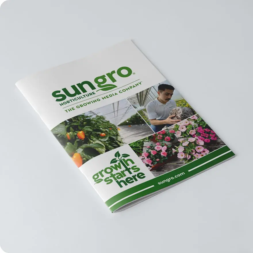 banner_catalog_us_en (1)
