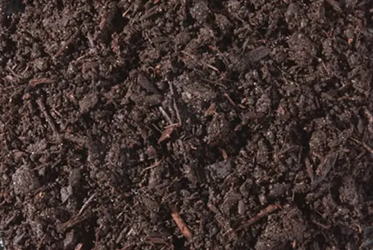 Dark shredded bark mulch for gardening, soil moisture retention and decorative landscape beds