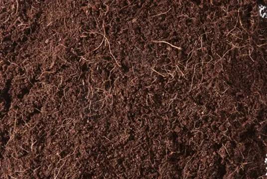 coir