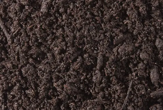 compost