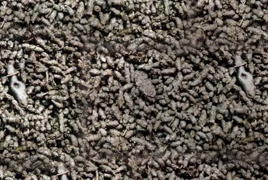 Close-up of dark granular earthworm castings spread across soil, showing nutrient-rich worm pellets for gardening