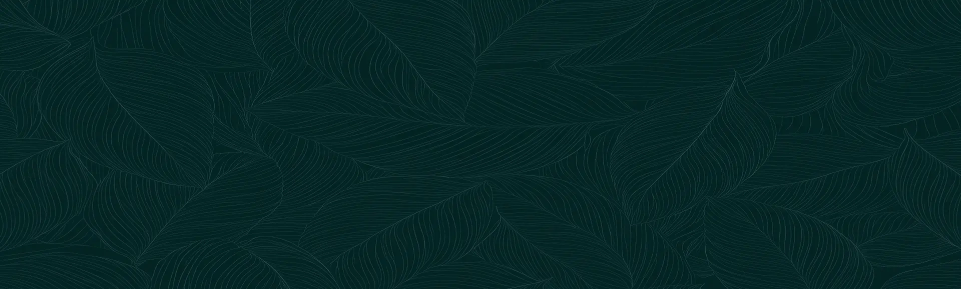 footer_bg