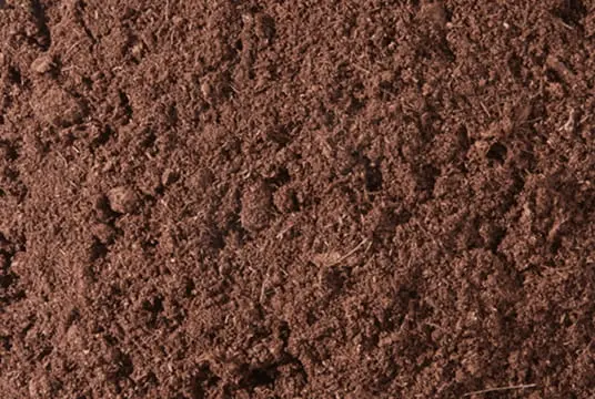 peat_moss