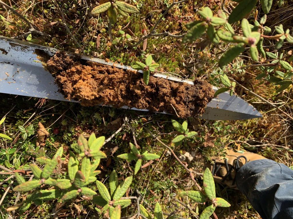 Close-up of a peat corer