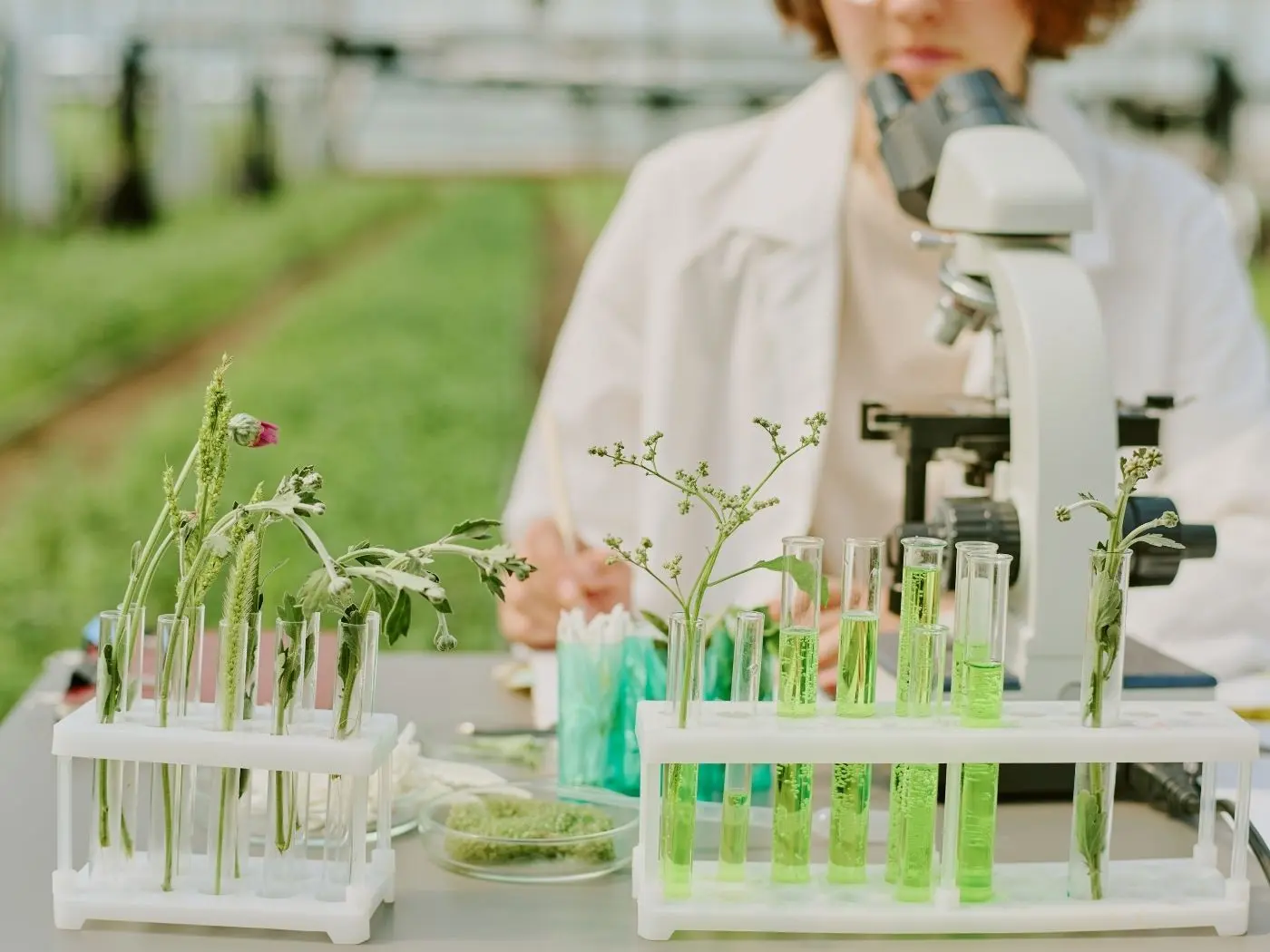 A woman in a lab coat standing behind plants and test tubes in a greenhouse environment