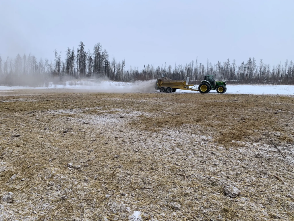 Bog restoration process